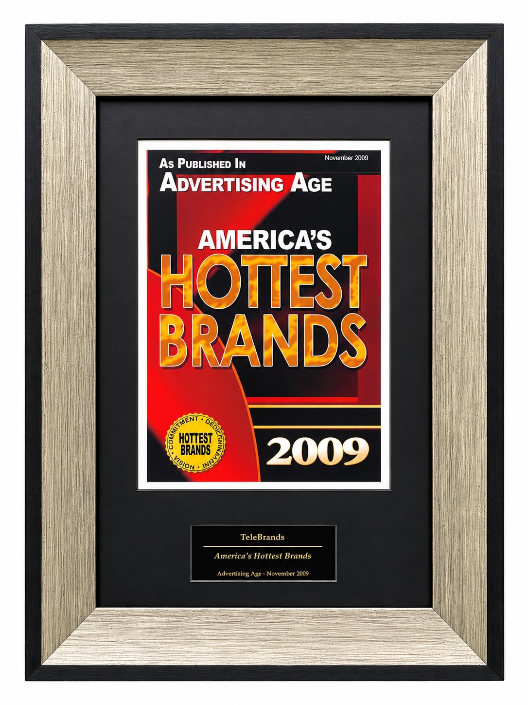 America’s Hottest Brands, Advertising Age, November 2009 — artwork from Telebrands’ framed commemorative display
